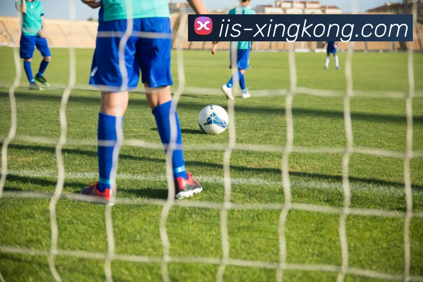 多媒体互动体验